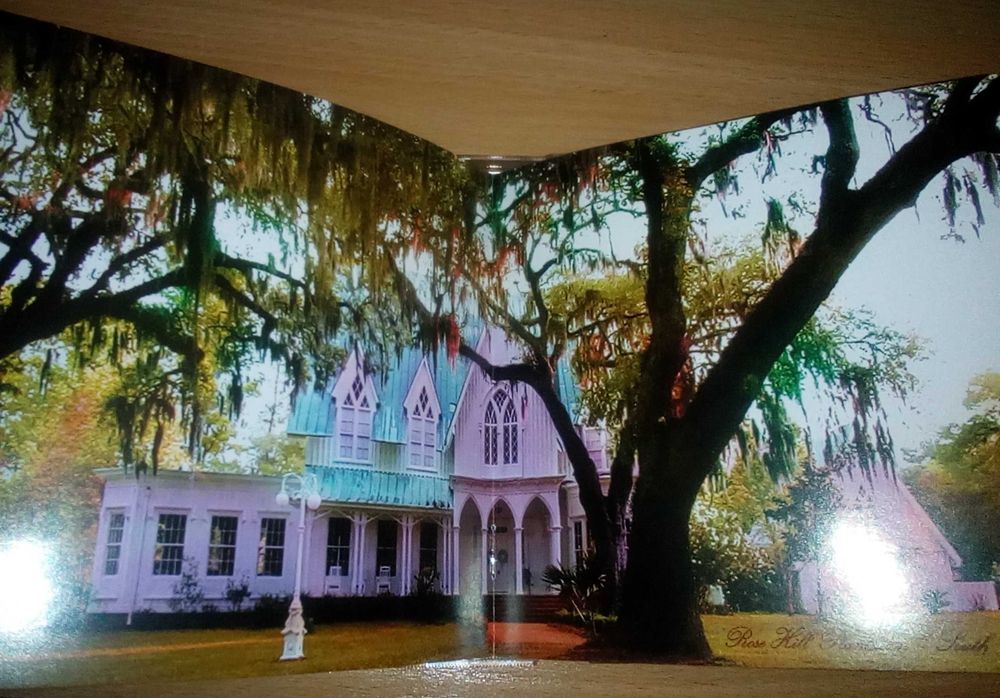 Zucchero Sugar Fornaciari – Black cat