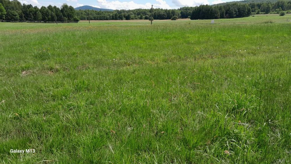 Działka budowlana w Ciekotach "za zalewem" z widokiem na Łysicę - Widok 6