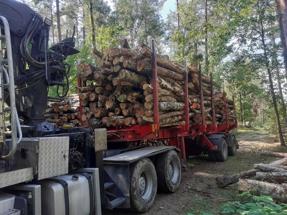 Drewno opałowe kominkowe transport