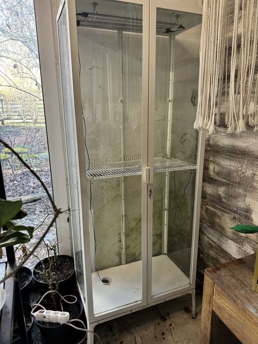 ikea milsbo na rosliny z oswiietleniem