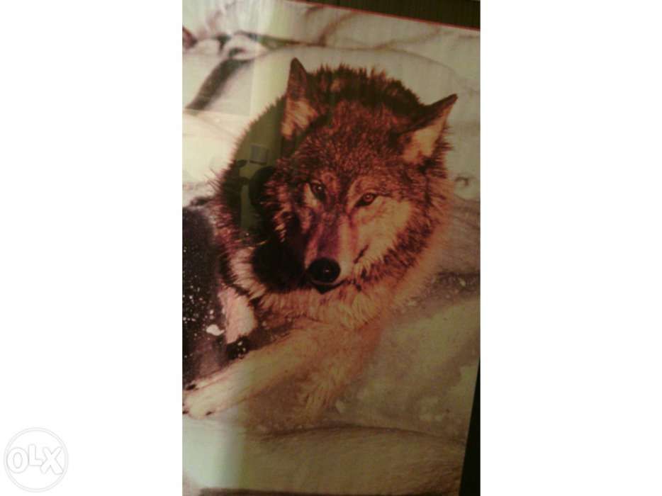 Quadro grande "Lobo"