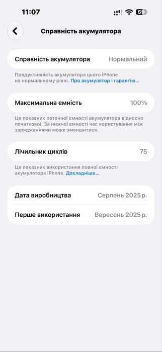 iPhone 17 Pro Max 256Gb eSim