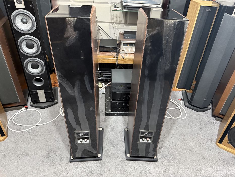 Focal chorus 826v noyer
