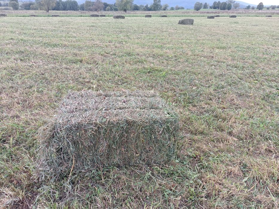 Сіно городне у великих тюках . Доставка.