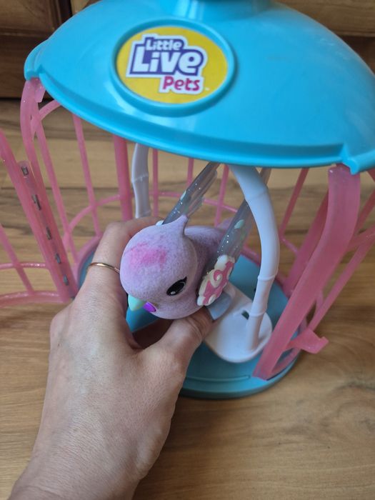 Ptak śpiewający w klatce Little Live pets