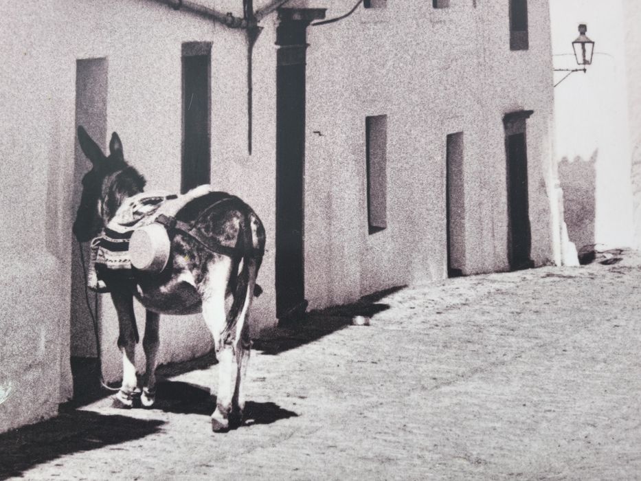 História da Cultura das Artes  em Portugal