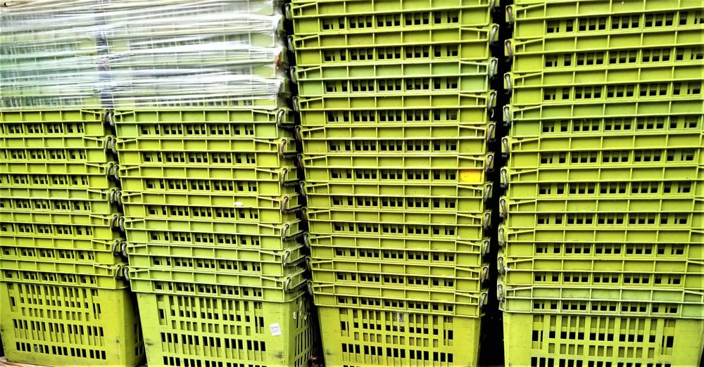 Pojemnik Skrzynka Plastikowa Kosz Box Magazynowy Transportowy Kuweta