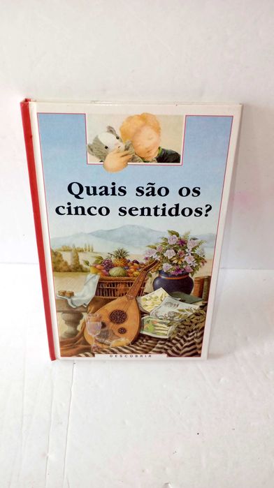 What Are the Five Senses?
