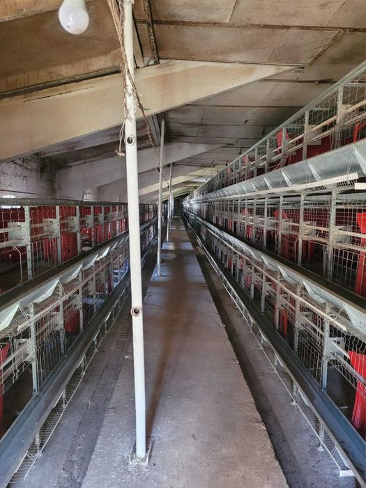 Продаж діючого птахівничого комплексу