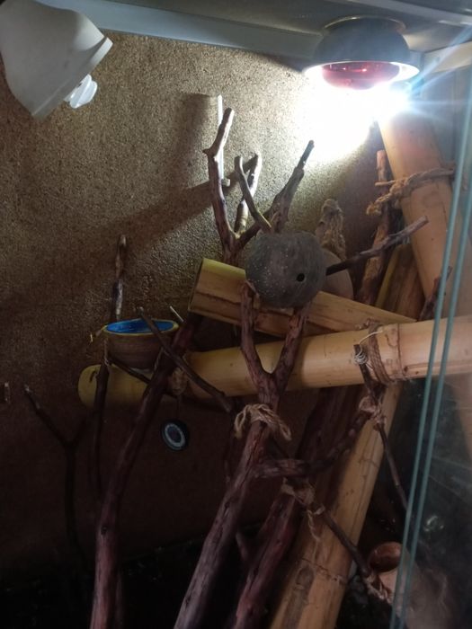 Продам террариум