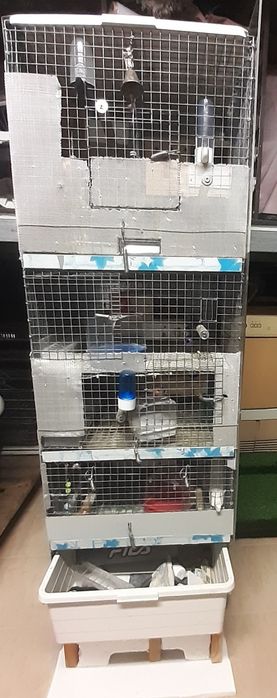 Jaula em  coluna  de apartamentos da para cinco casais