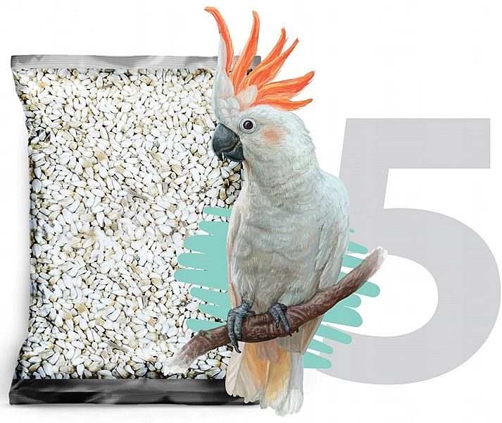 5kg Kardi krokosz biały słonecznik karma dla papug ziarno