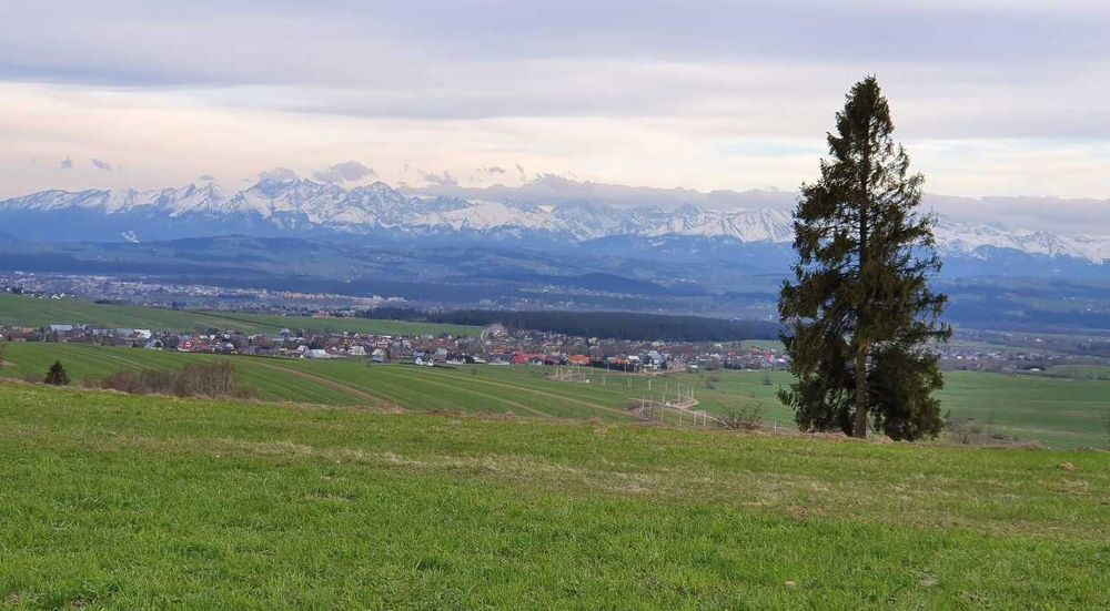 Domki z Widokiem (jacuzzi, taras) KLIKUSZOWA Zakopane WOLNE TERMINY