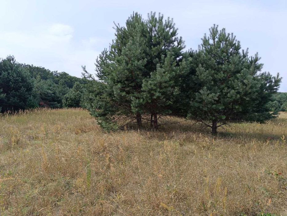 Продаж земельної ділянки під забудову