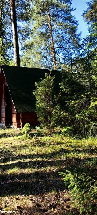 Działka 1567 m² z potencjałem podziału – Żarki-Letnisko