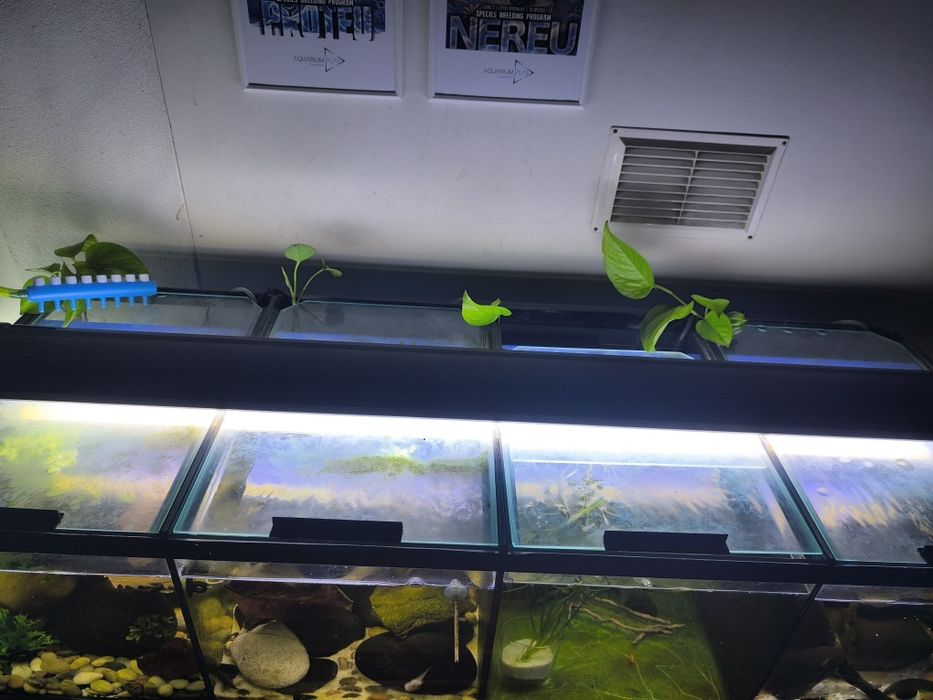 Calha iluminaria aquario