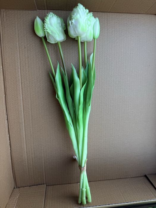 Тюльпани з найтонкішого LUX Силікону