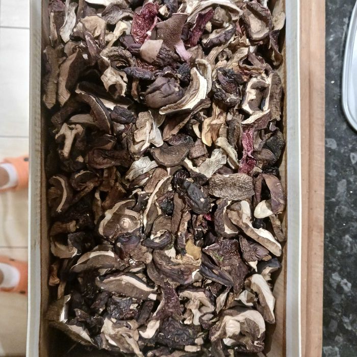 Podgrzybek suszony 0,1 kg