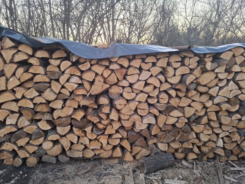 Drewno opałowe, kominkowe dąb, buk, brzoza, olcha, osika