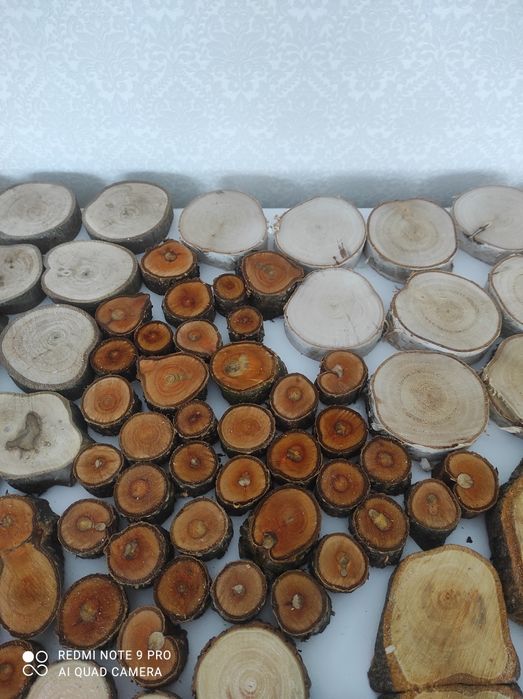 Зрізи дерева для творчості