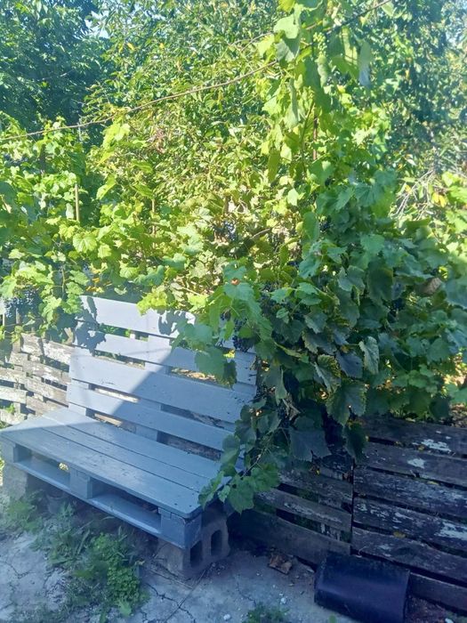 Продам дом Днепр