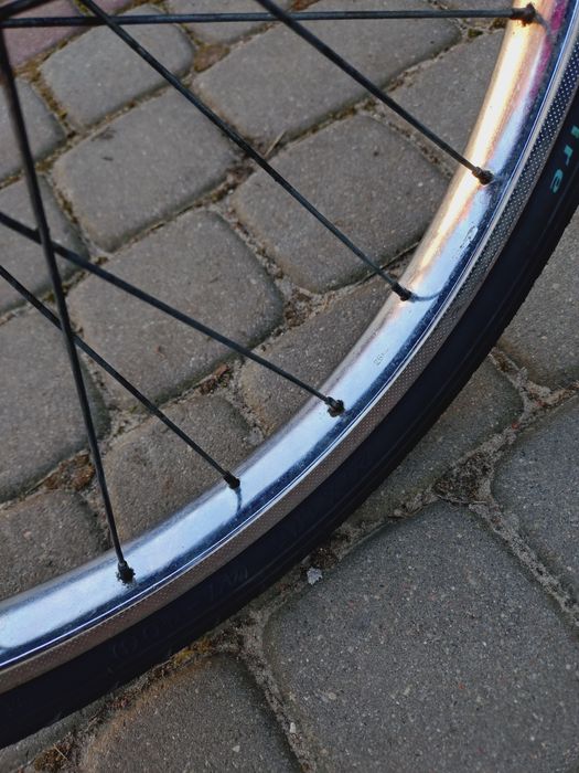 Rower universal Leda