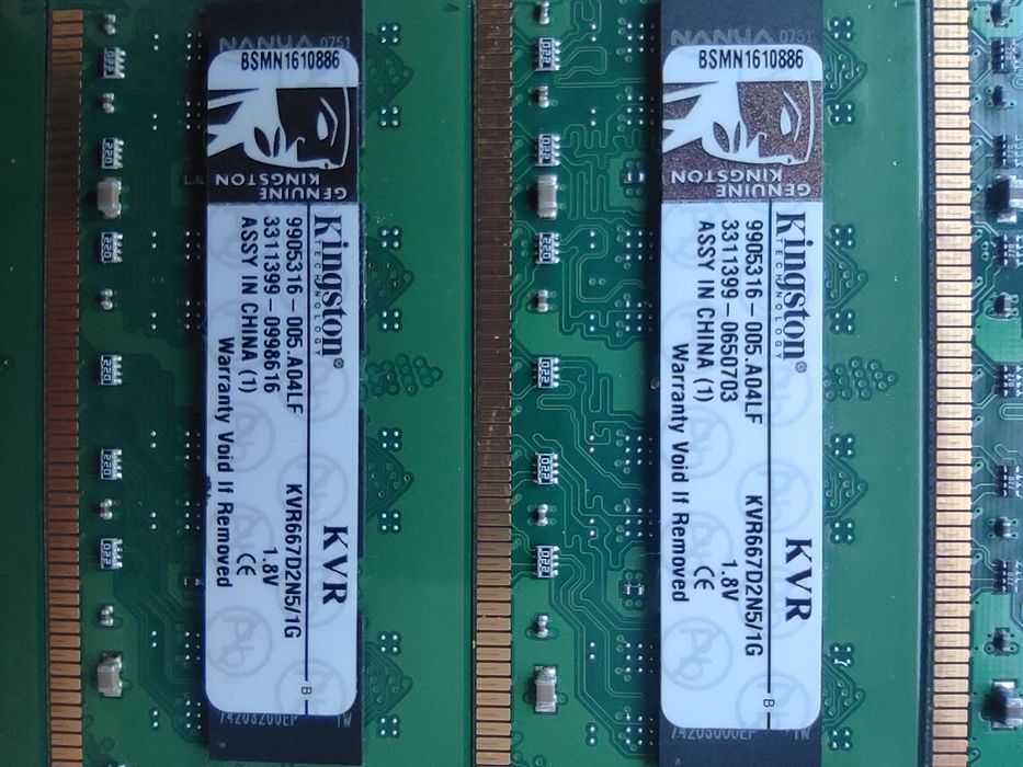 Пам'ять Kingston 1 GB DDR2 667 MHz (KVR667D2N5/1G)