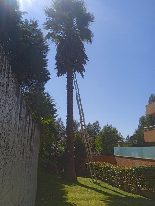 Limpeza de terrenos e Jardinagem