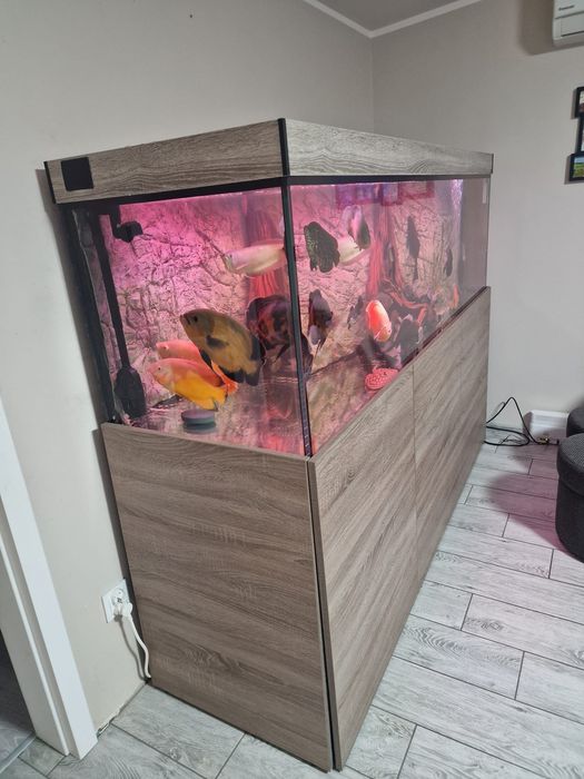 Akwarium ze stelażem 720l