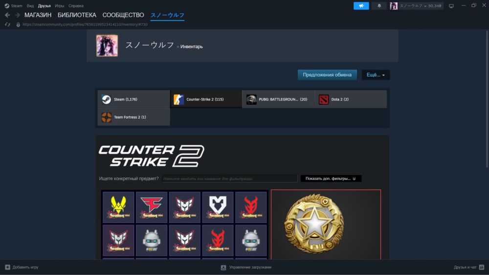 steam cs2 prime стим кс2 прайм