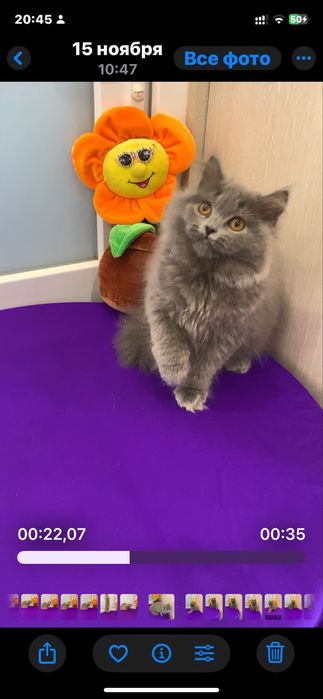 Гарнюні дівчатка бриташки !