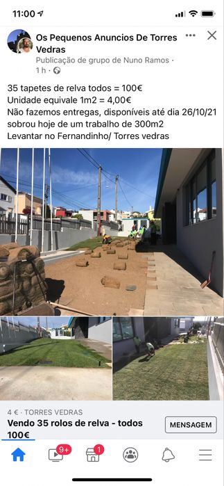 Relva em tapete natural