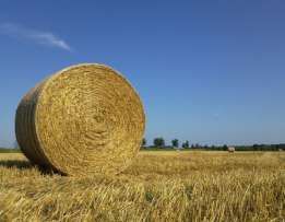 sprzedam bale bele siano,sloma