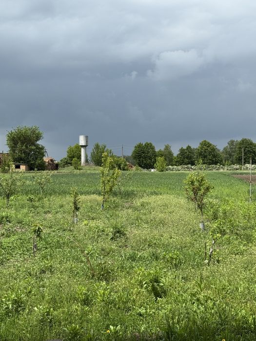Продаж будинка в с. Чепеліївка Білоцерківського района
