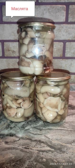 Маринованные грибы " Рядовка( тополевая),Маслята,Польские, зеленушки