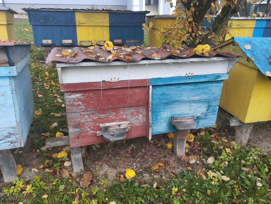 Пусті вулики,самовивіз