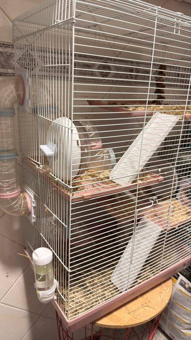 Gaiola para hamster