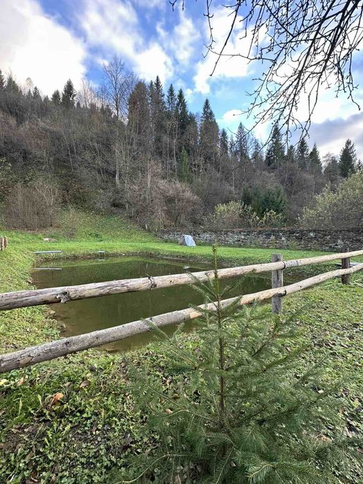 Котедж біля лісу