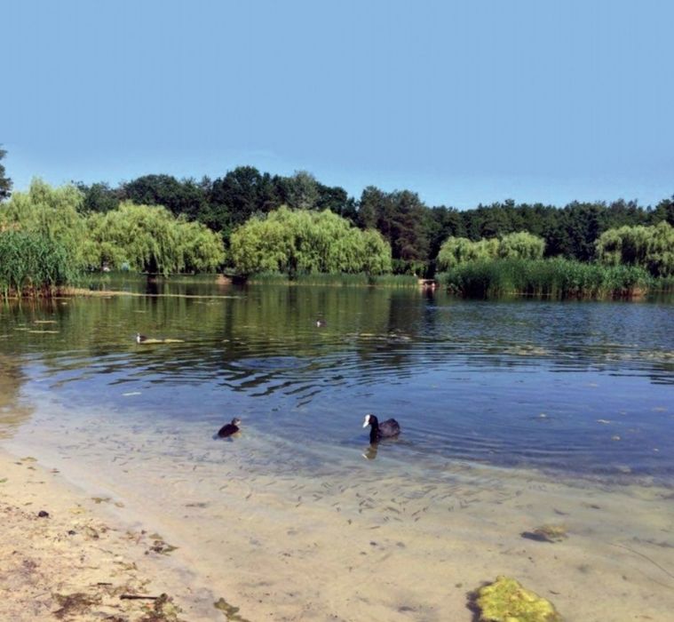 Акція!!!Квартира по доступній ціні в Бортничах,з розтермінуванням.