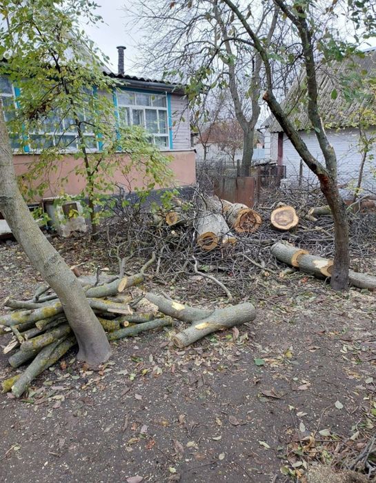 Спил деревьев, омоложение , обрезка
