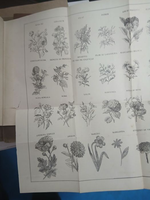 Beatriz Nazareth, Manual da Florista Para Fazer Flores Artificiaes