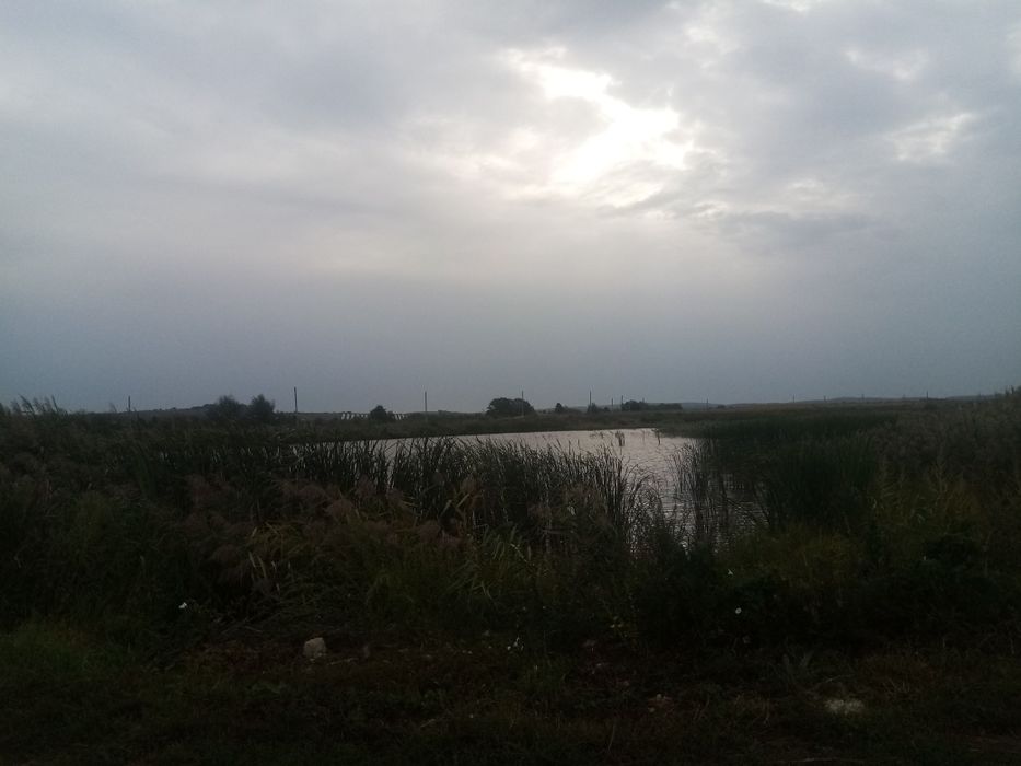 Продається земельна ділянка в с Підпечери