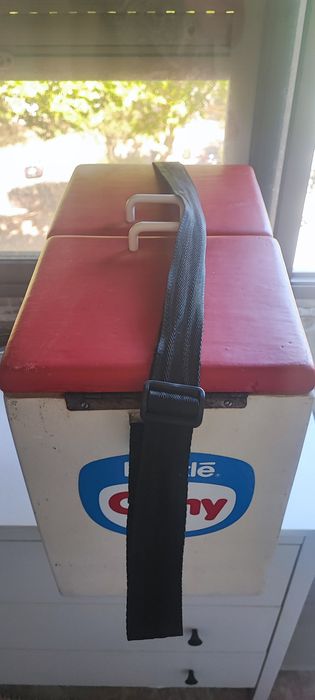 Mala térmica Vintage - Nestlé Camy