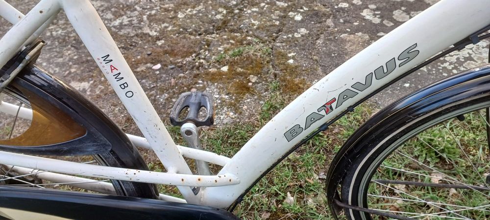 Rower Holenderski  Batavus