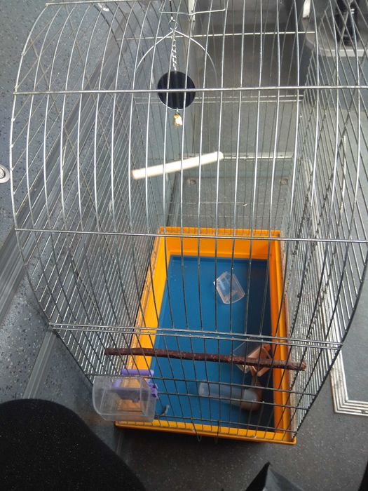 Большая клетка для птиц