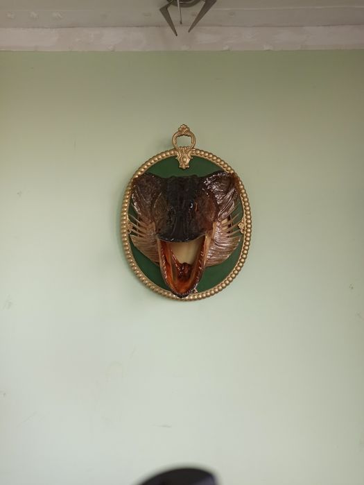 Рибацький декор (щука)