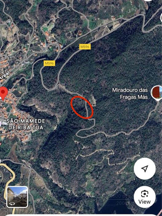 Terreno Rustico com Oliveiras e Ruina 6000m2