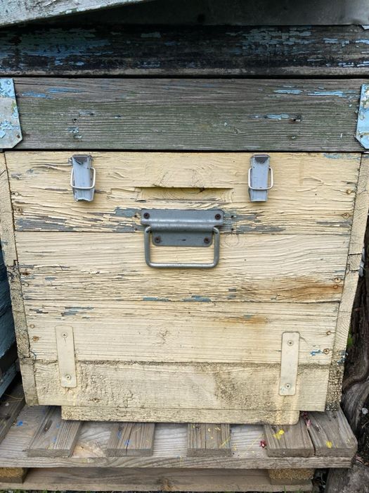 Продам вулики дадани 12 рамок