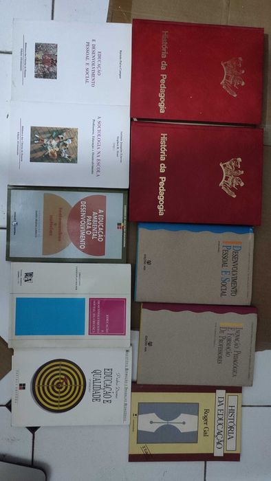 Lote 30 livros sobre Pedagogia