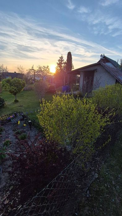 Działka ogrodowa HUZAR - View 5